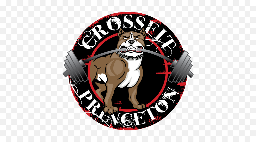 Crossfit Princeton - Quite Possibly The Best Gym In Princeton Emoji,Sweetfrog Logo