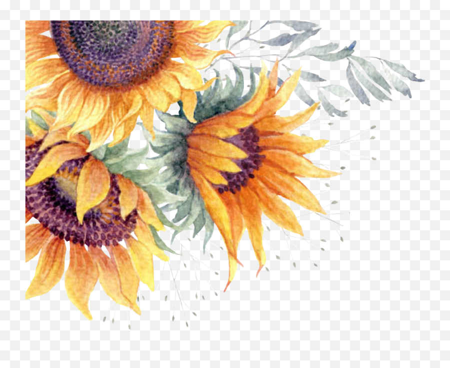 Watercolor Clipart Png - Sunflower Png Watercolor Transparent Background Watercolor Sunflowers Png Emoji,Sunflower Png