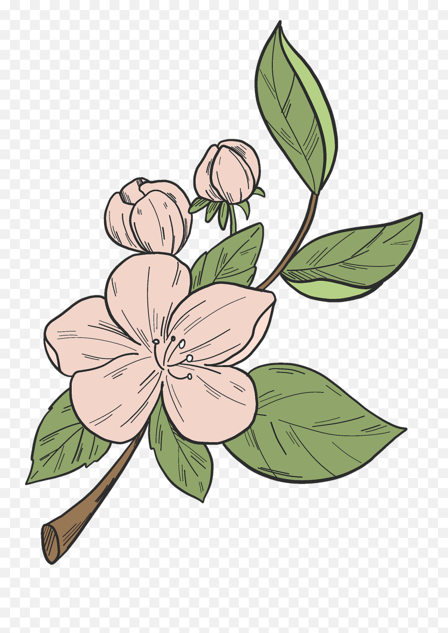 Apple Tree Flower Clipart Free Download Transparent Png - Flower Of A Tree Clipart Emoji,Flower Clipart