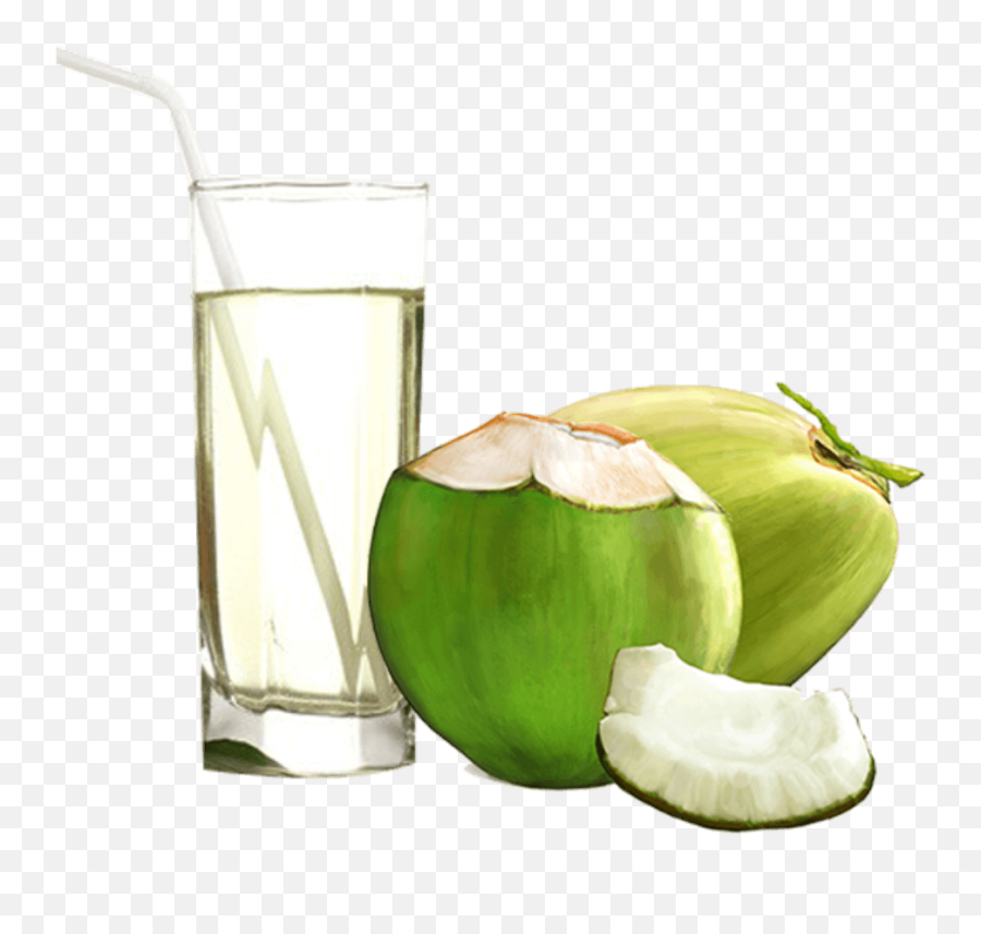Coconut Water Juice Glass Png Png - Transparent Fresh Coconut Png Emoji,Water Glass Png