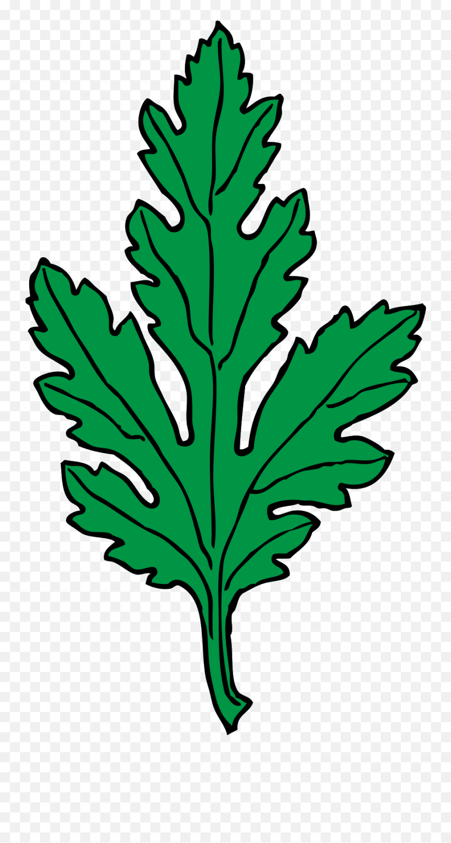 Ivy Leaf Green Chrysanthemum Clip Art At Clkercom - Vector Emoji,Herbs Clipart