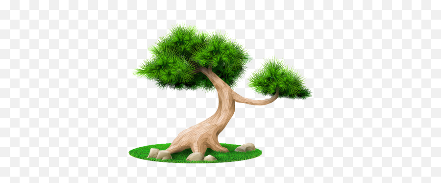 Plants Importance - Baagin Emoji,Bonsai Tree Clipart
