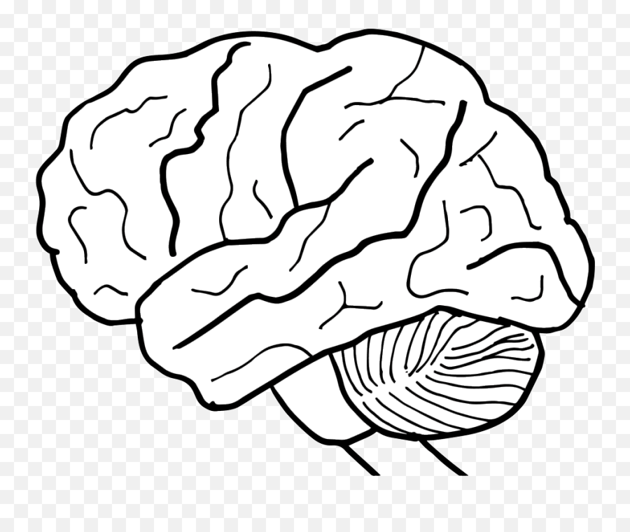 Human Brain Clipart - Brain Nervous System Black And White Emoji,Clipart Brain