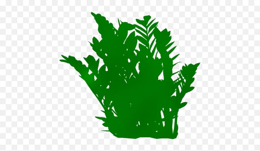 Transparent Tree Plants Clipart Tree Plants Png Image Emoji,Jungle Plants Png