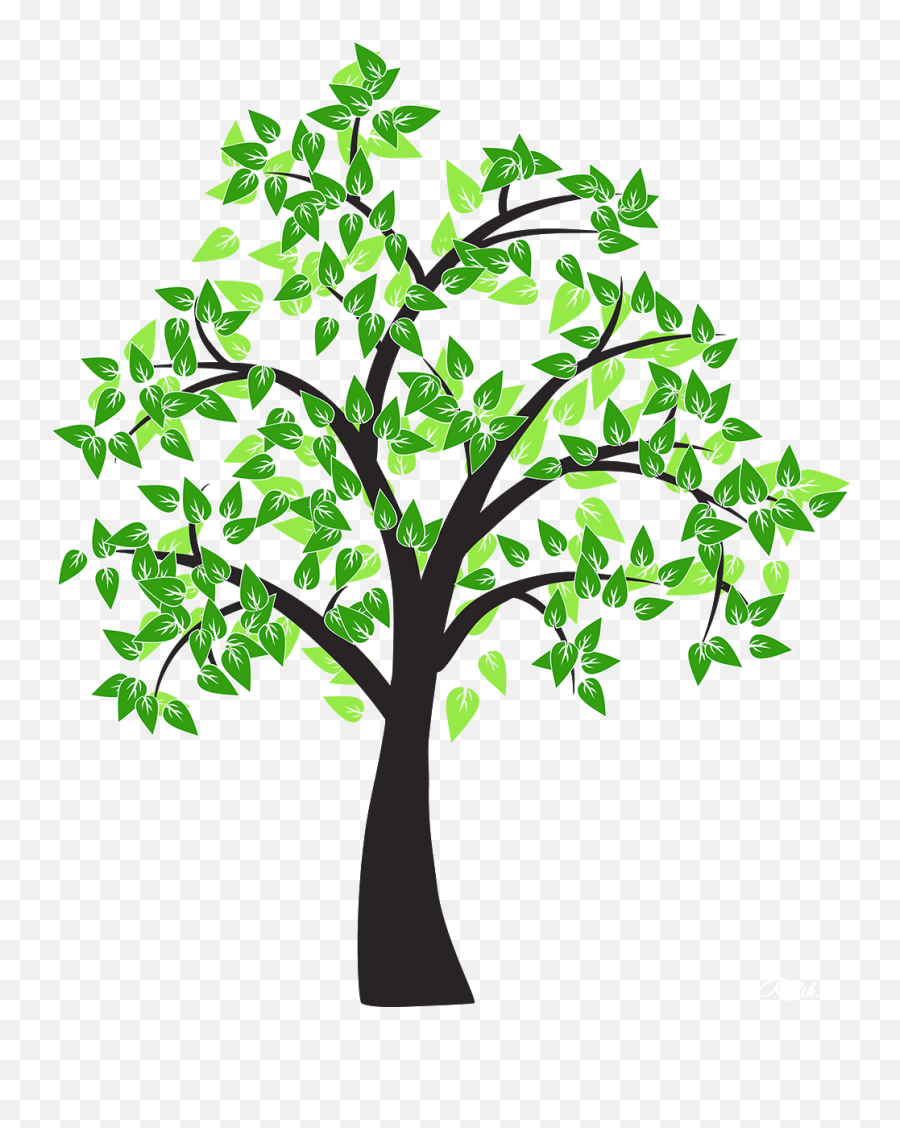 Tree Drawing Cottonwood Leaf - Tree Vector Png Download Emoji,Tree Illustration Png