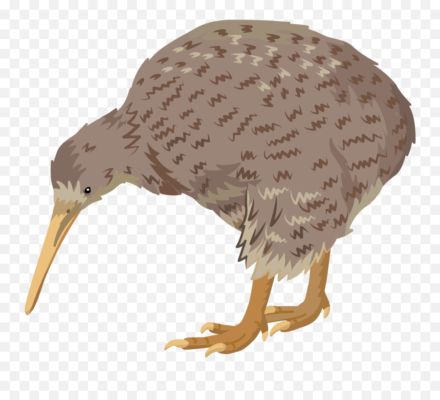 Great Spotted Kiwi Clipart Free Download Transparent Png Emoji,Great Clipart