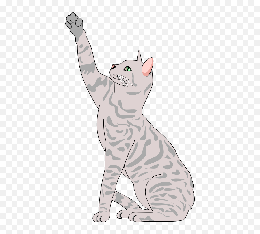 Cat Clip Art Clipartsiip - Realistic Cat Clipart Emoji,Cat Clipart