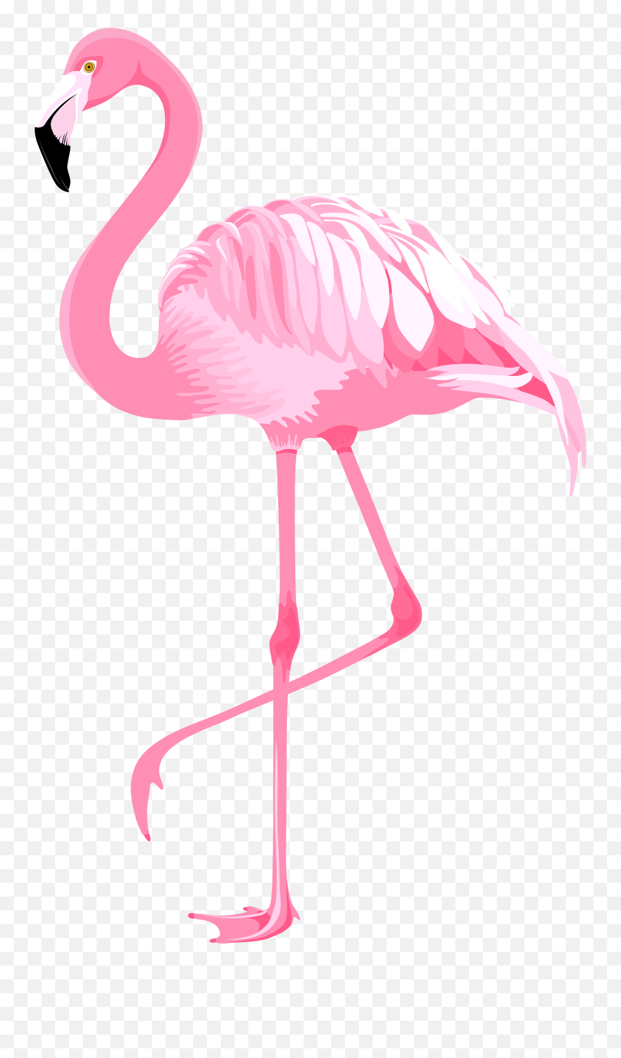 Clip Art Pink Flamingo - Clip Art Flamingo Png Emoji,Flamingo Clipart