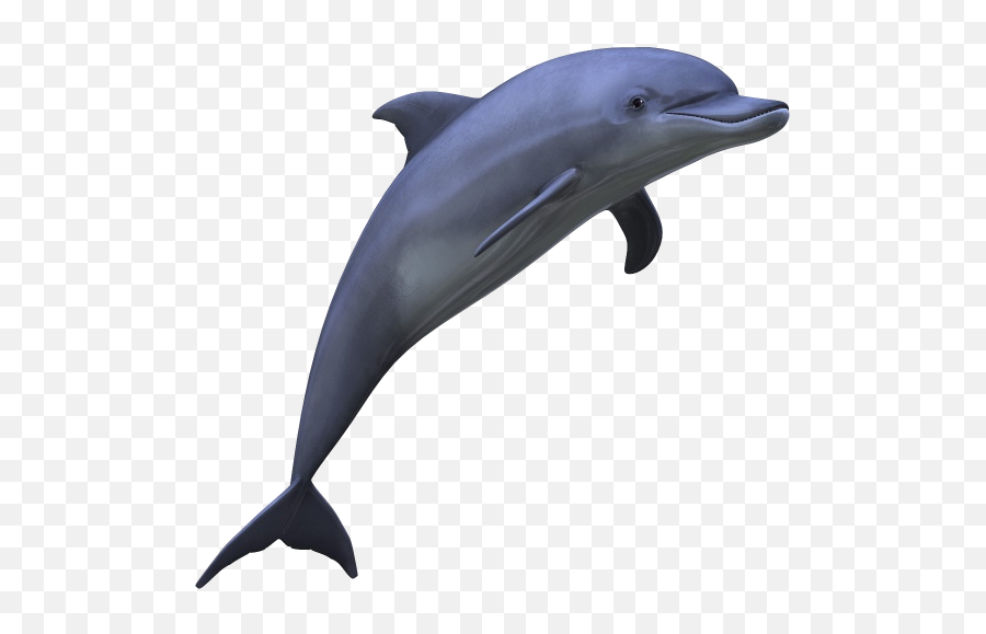 Sea Animals Transparent Png Images - Dolphin Transparent Png Emoji,Sea Animals Clipart