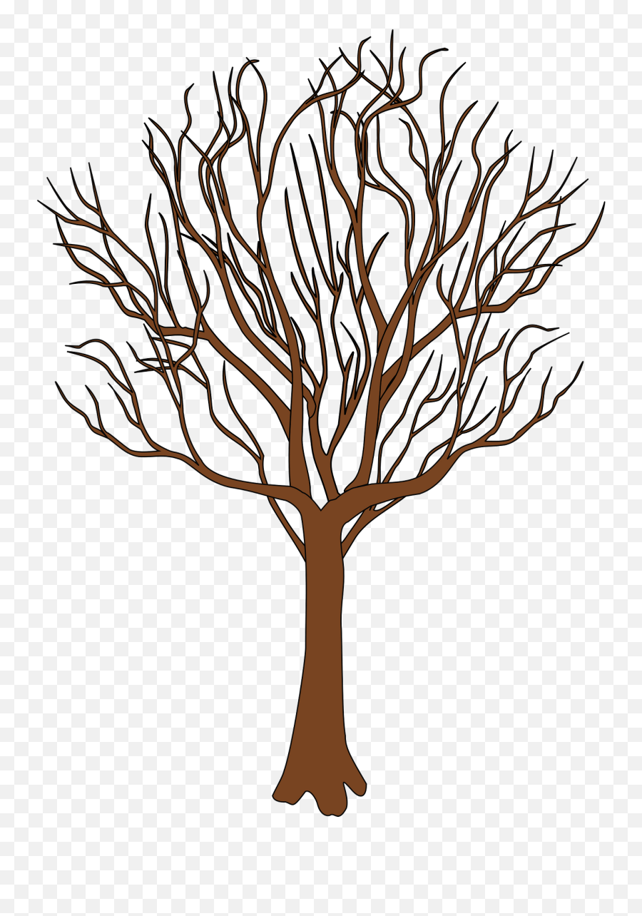 Brown Tree Bare Of Leaves Clipart Free Download Transparent - Transparent Bare Tree Png Emoji,Tree Clipart