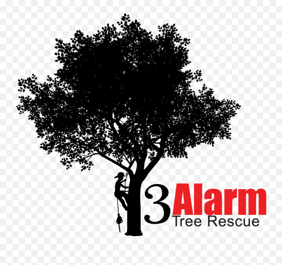 3alarm Tree Services - Belding Family Dentistry Full Size Emoji,Tree Stump Clipart Black And White