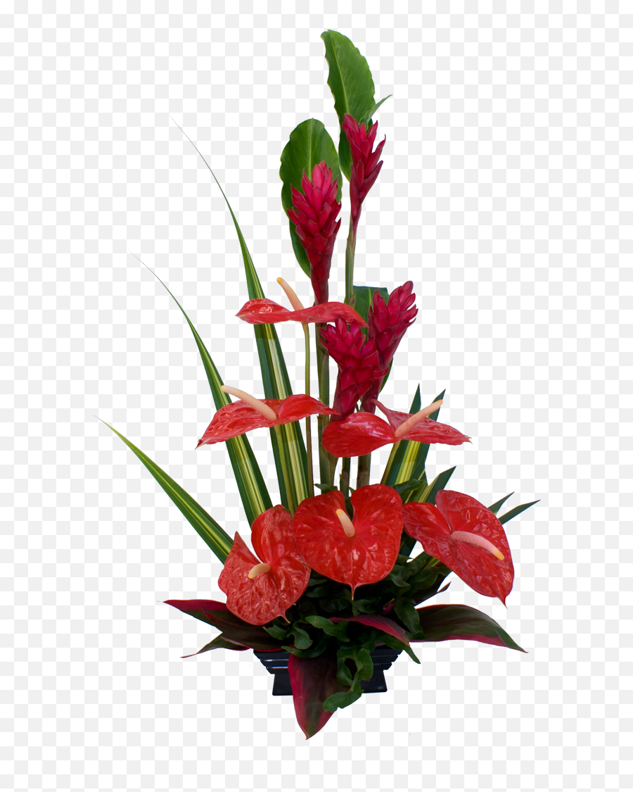 Red Tropical Flower Arrangement - Anthurium Flower Emoji,Flower Arrangement Clipart