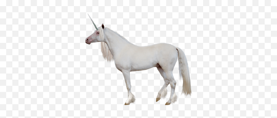 Cartoon Unicorn Transparent Png - Stickpng White Unicorn Transparent Background Emoji,Unicorn Silhouette Clipart