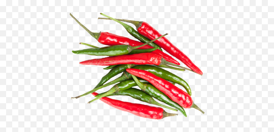 Download Chili - Vegetable Png Image With No Background Green And Red Chilli Png Emoji,Chili Png