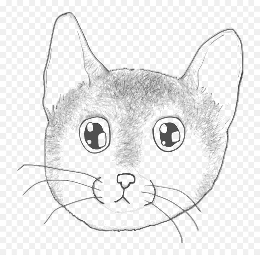 Striped Kitten Face - Line Art Clipart Free Download Emoji,Cat Lineart Transparent