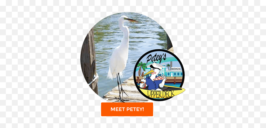 Peteys Upper Deck - Great Egret Emoji,Upper Deck Logo