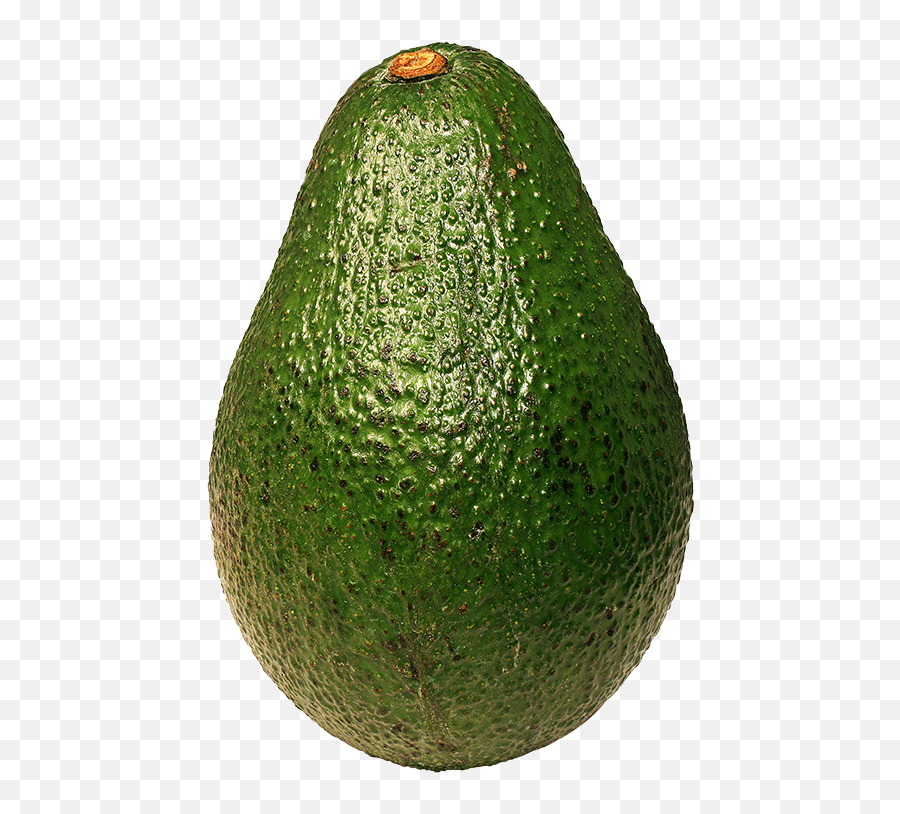 Avocado Png - Green Avocado Png Emoji,Avocado Clipart