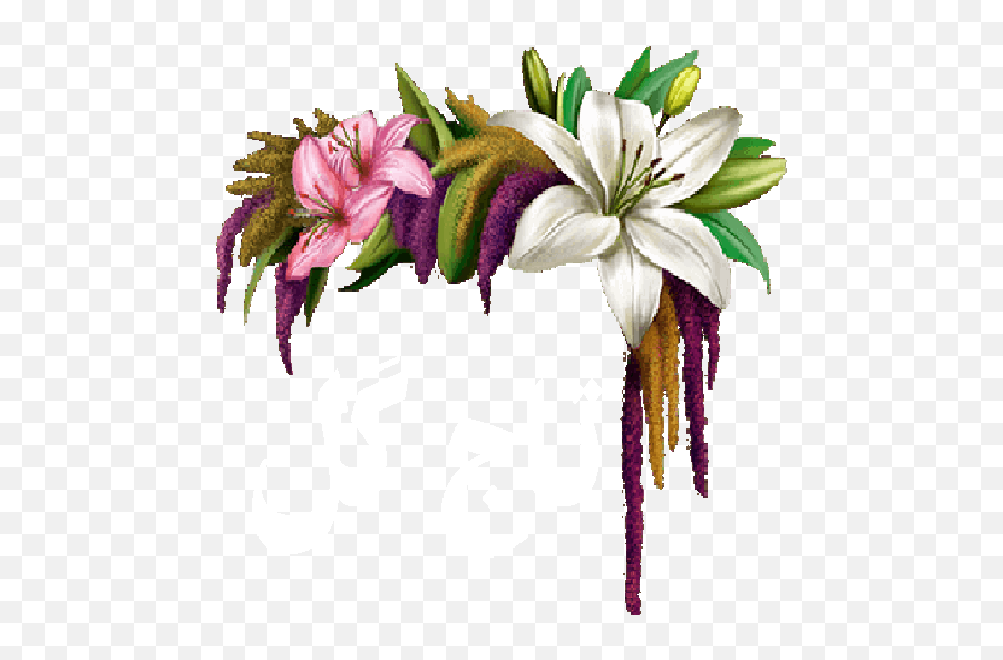 Flower Crown For Android - Download Cafe Bazaar Lily Emoji,Flower Crown Transparent
