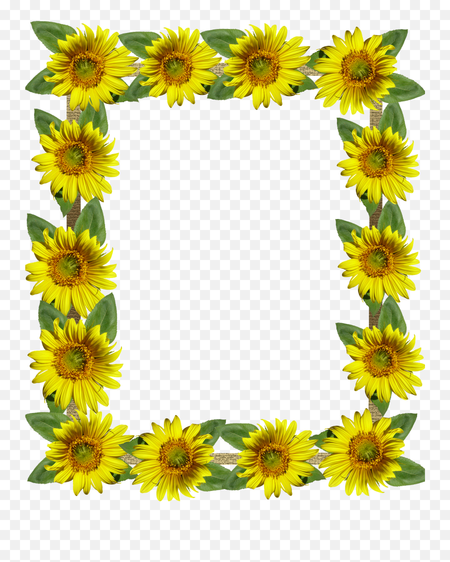 Frame Border Sunflowersframe Border Sunflowerspng Snipstock - Aesthetic Sunflower Background Png Emoji,Sunflower Png