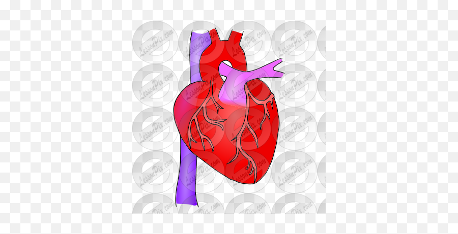 Human Heart Picture For Classroom - Event Emoji,Human Heart Clipart
