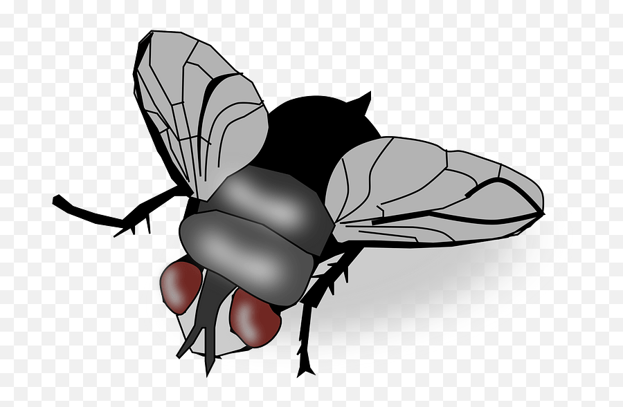 Fly Clipart - Fly Clipart Png Emoji,Fly Png