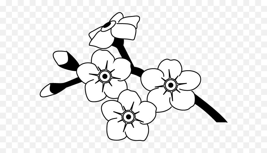 Forget Me Not Flower Outline Png Image - Drawing Forget Me Not Clip Art Emoji,Forget Me Not Flowers Clipart