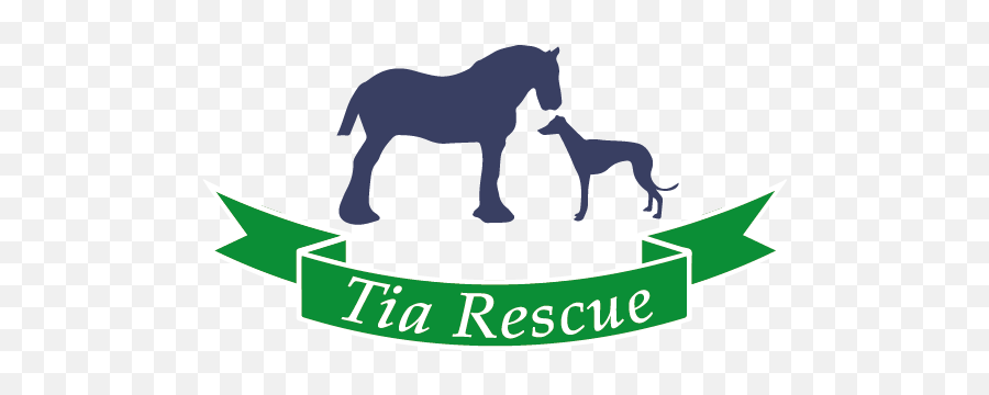 Tia Greyhound And Lurcher Rescue - Gecco Energy Tia Greyhound Emoji,Greyhound Logo