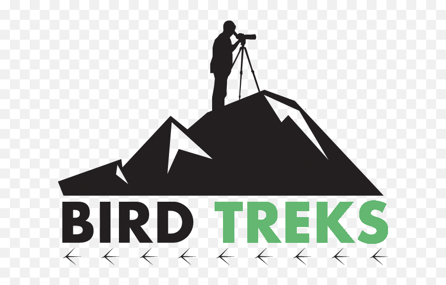 Birding Tours In North America - Am My Keeper Freemason Emoji,T Birds Logo