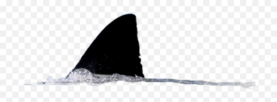 A Large Shark Fin Moving Through Water - Water Full Size Cetaceans Emoji,Shark Fin Clipart
