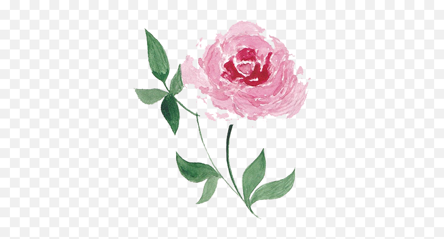 Watercolor Flower Png Pink Transparent - Floral Emoji,Watercolor Flowers Png