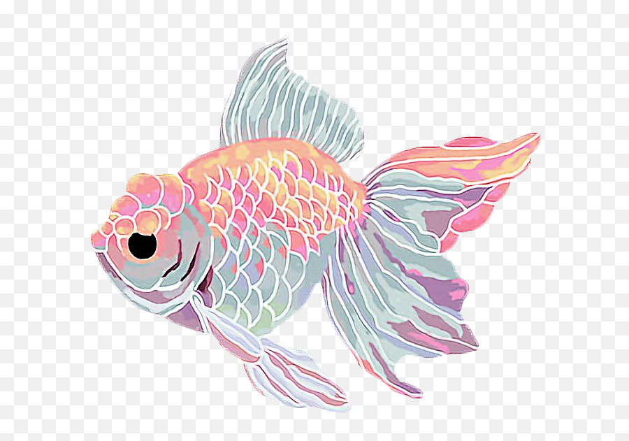 Goldfish Clipart Kawaii - Aesthetic Fish Transparent Fish Cartoon Aesthetic Emoji,Goldfish Clipart