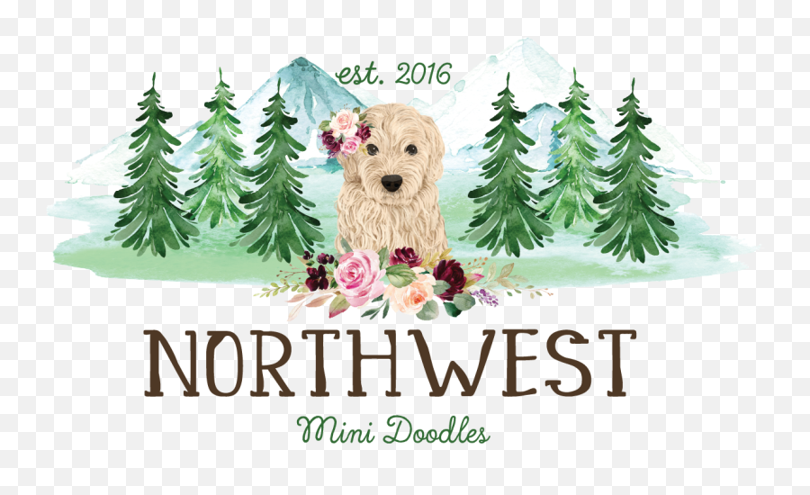 About U2014 Northwest Mini Doodles Emoji,Doodle Logo