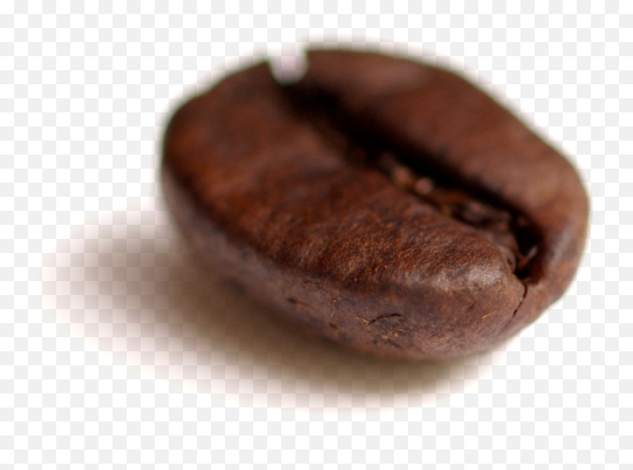 Coffee Bean Transparent - Elf On The Shelf Meme Spn Emoji,Coffee Transparent Background