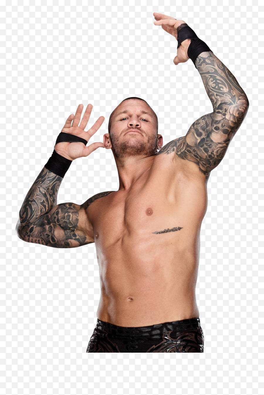 Randy Orton Png Image With Transparent Emoji,Randy Orton Png