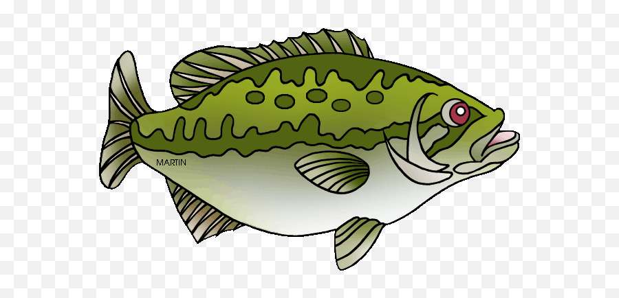 Phillip Martin Spotted Bass - Spotted Bass Clip Art Emoji,Bass Clipart