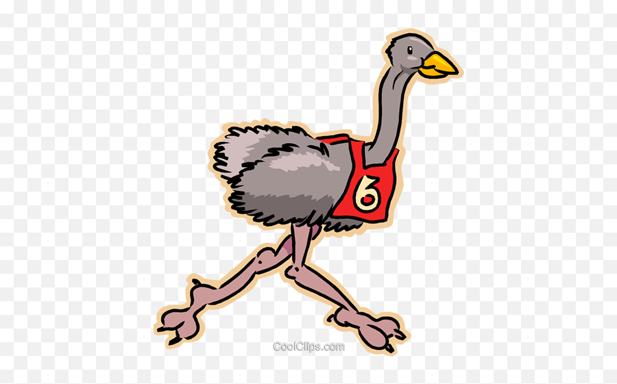 Ostrich Running Race Royalty Free - Cartoon Emu Race Emoji,Ostrich Clipart