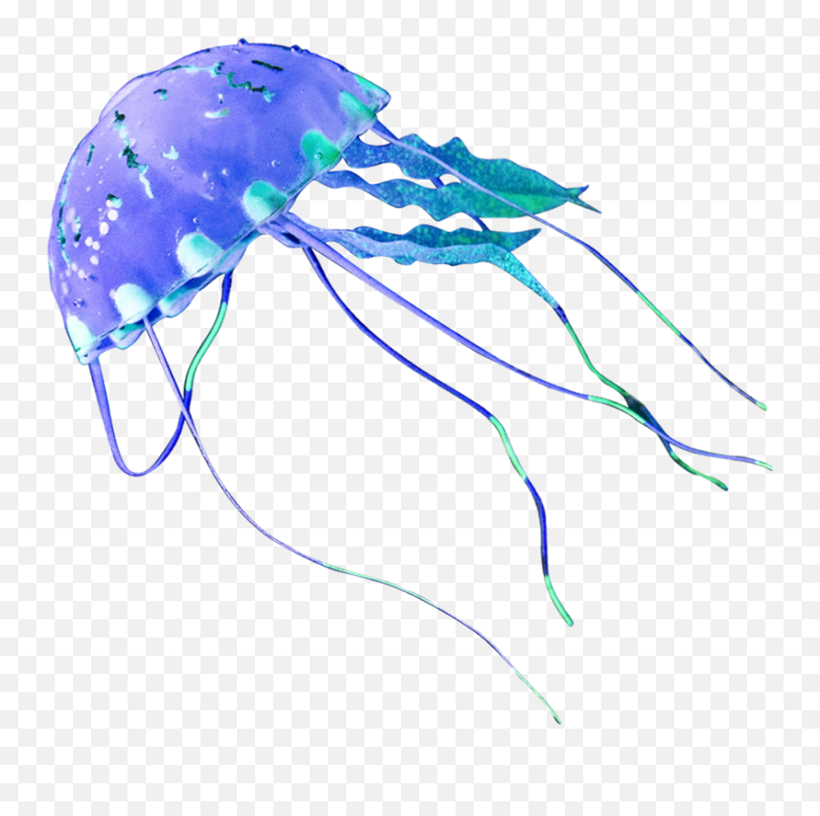 Méduse Png Images Transparent - Transparent Background Transparent Jellyfish Png Emoji,Jellyfish Transparent Background