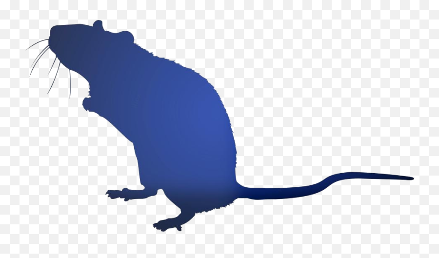 Mice Png Hd Images Stickers Vectors - Black Rat Emoji,Mice Clipart