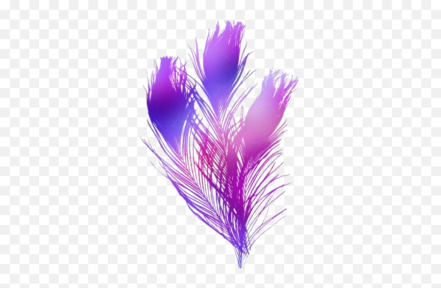 Feather Png Hd Images Stickers Vectors - Vertical Emoji,Peacock Feather Png
