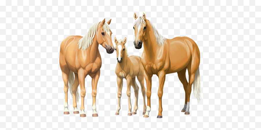 Palomino Horses In Winter Pasture T - Shirt Palomino Appaloosa Horse Emoji,Horses Png