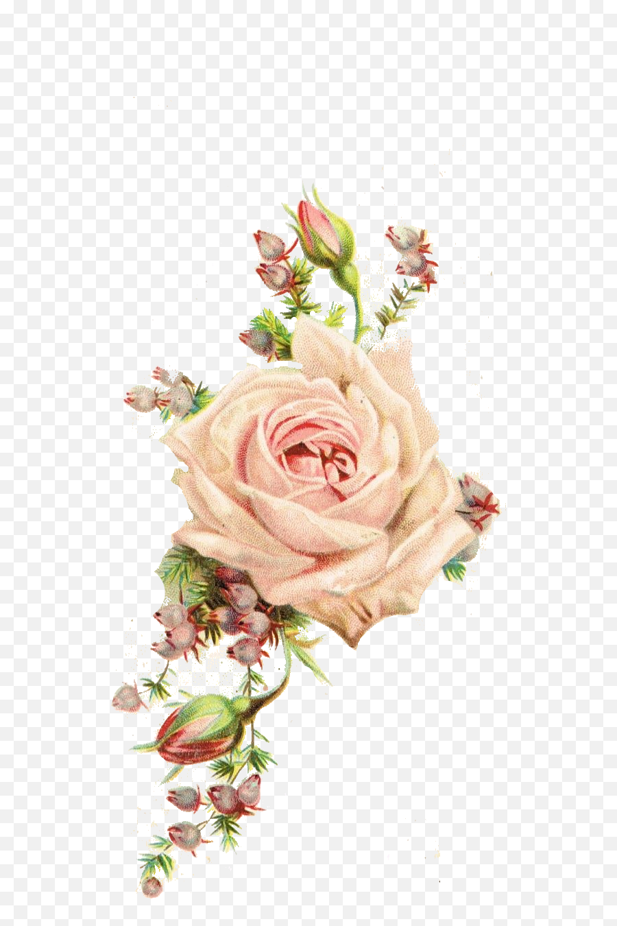 Vintage Flowers Png Image With No Emoji,Vintage Roses Png