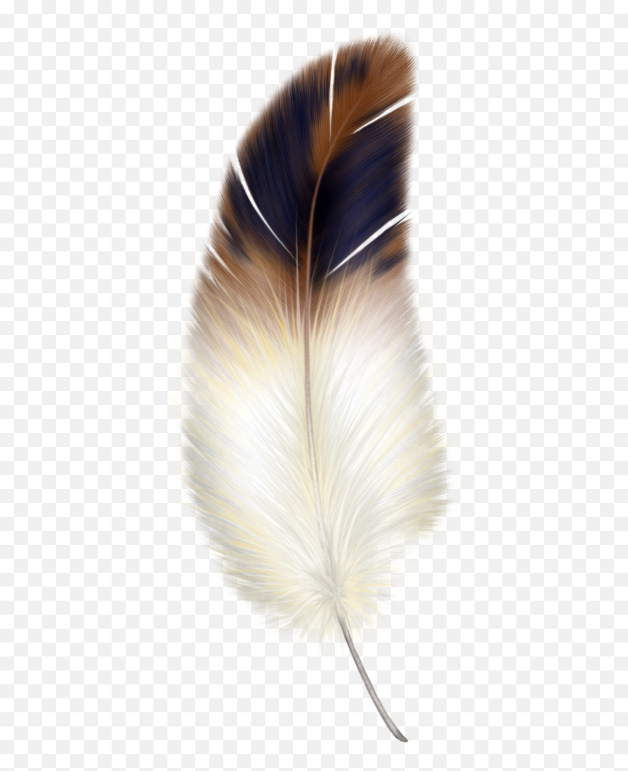 Brown And White Feather Png Images U2013 Free Png Images Vector - Feather Png Emoji,Feather Png