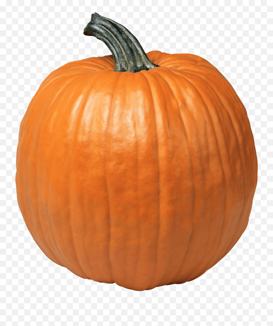 Pumpkin Png - Pumpkin Png Emoji,Pumpkin Png
