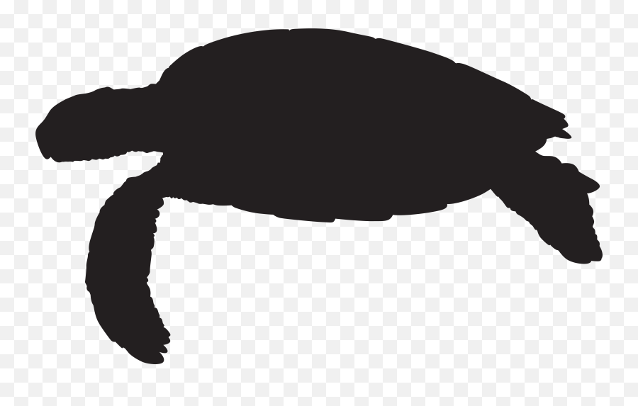 Clipart Water Turtle Clipart Water - Turtle Silhouette Png Emoji,Turtle Clipart Black And White