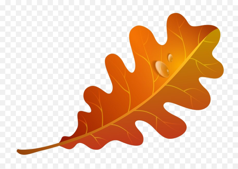 Fall Leaves Png Image Png Mart - Autumn Oak Leaf Clipart Emoji,Fall Leaves Png