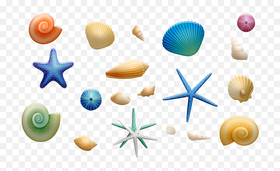 100 Free Seashells U0026 Shell Illustrations Emoji,Mermaid Shell Clipart