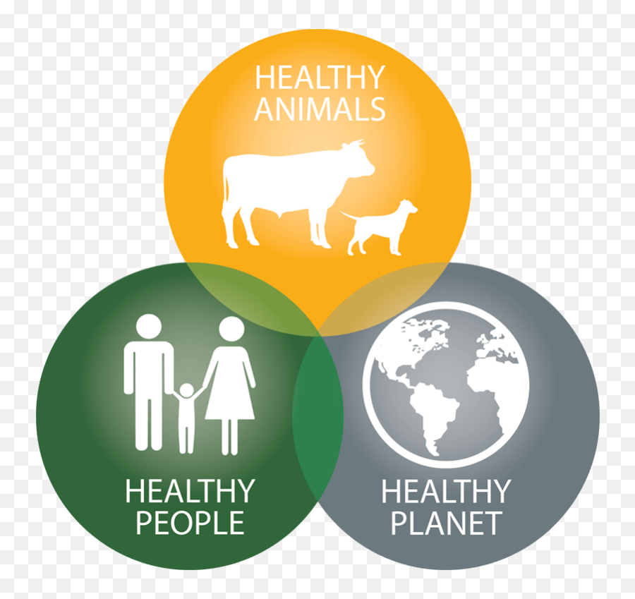 Guiding Disease Prevention Zoohub - Coy 10 Emoji,Animal Planet Logo