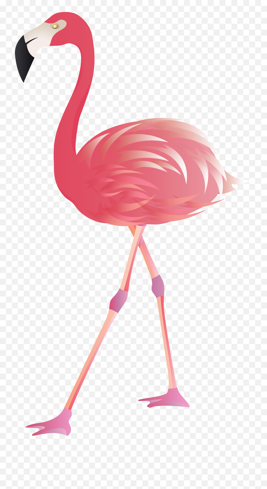 Flamingo Clipart - Flamingo Png Clipart Emoji,Flamingo Clipart