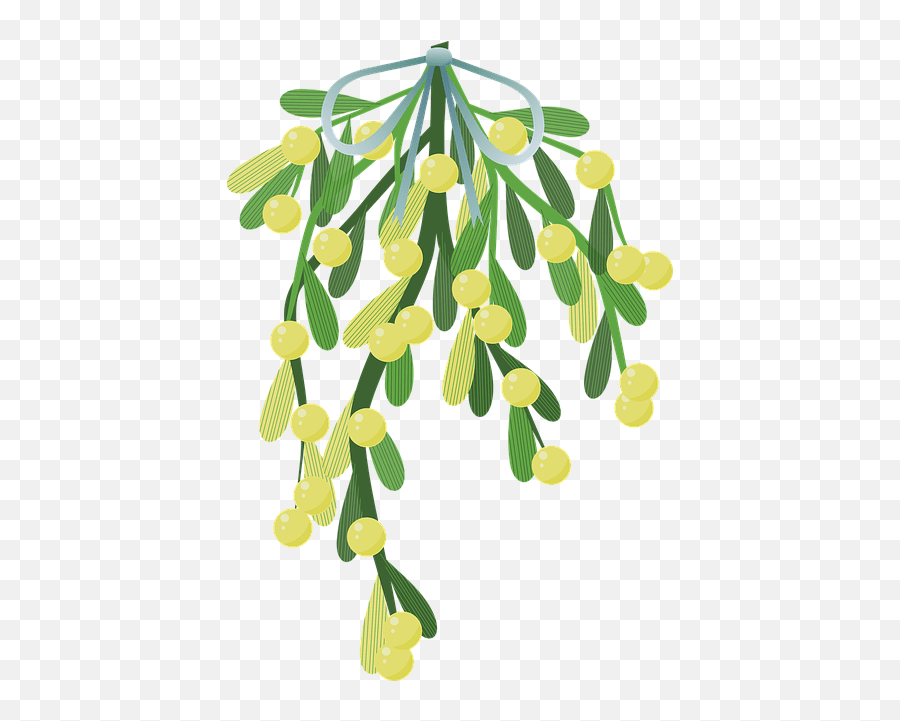 Mistletoe - Harry Potter Mistletoe Emoji,Mistletoe Transparent