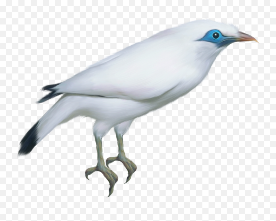 White Twitter Bird Png Download - Portable Network Graphics Emoji,Twitter Bird Png